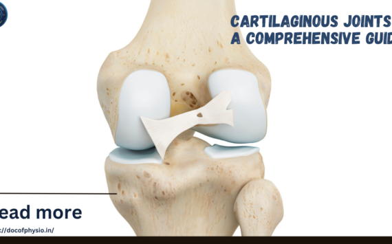 Cartilaginous Joints : A Comprehensive Guide