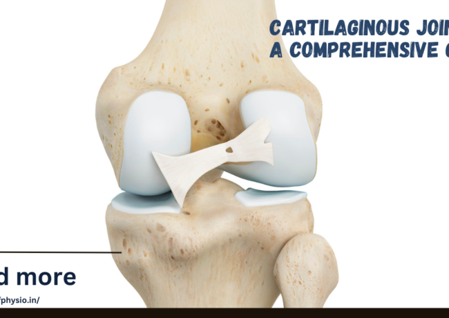 Cartilaginous Joints : A Comprehensive Guide